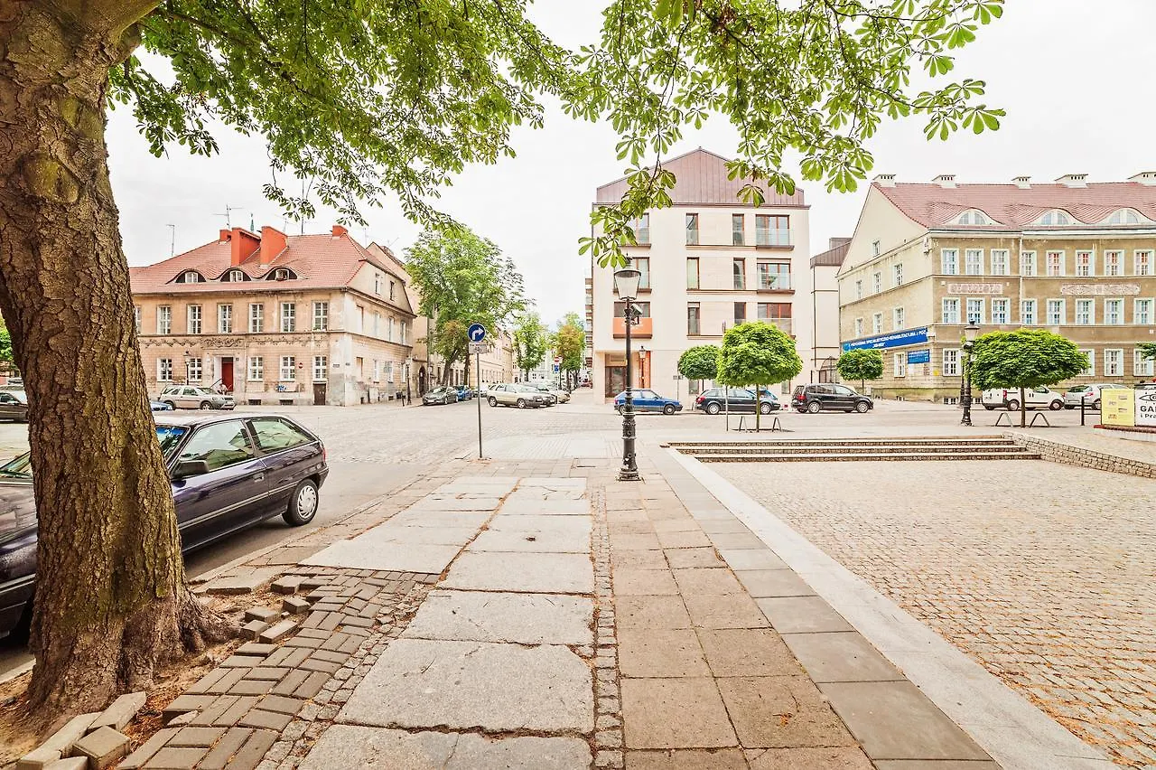 Apartamenty Homely Place Extens Posen Apartment